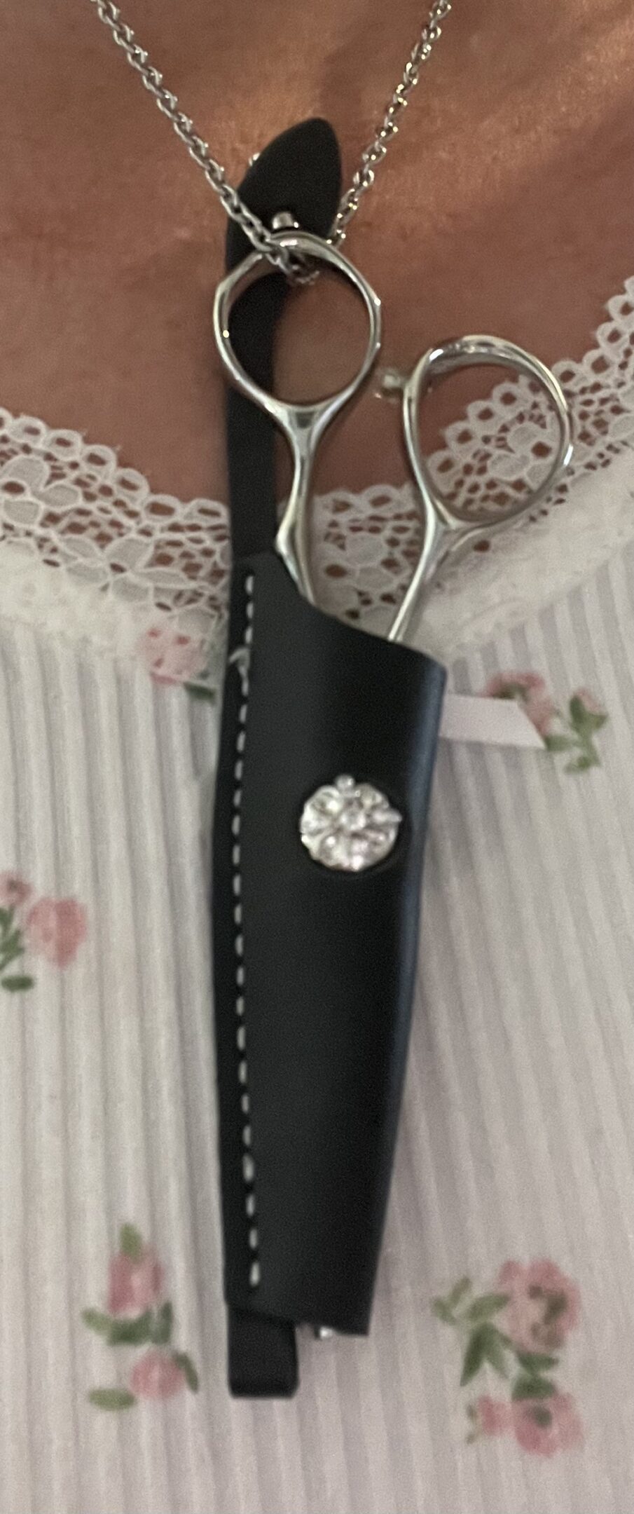 Silver scissors in grooming shears in black leather holster