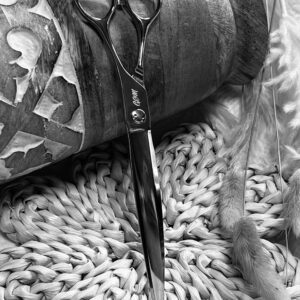Shiny scissors on woven mat and dried stems